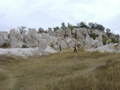 dsc02817.gif