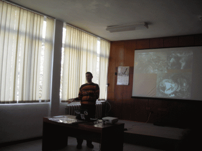 10.gif