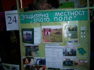 100_3611.jpg