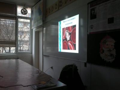 c26.jpg